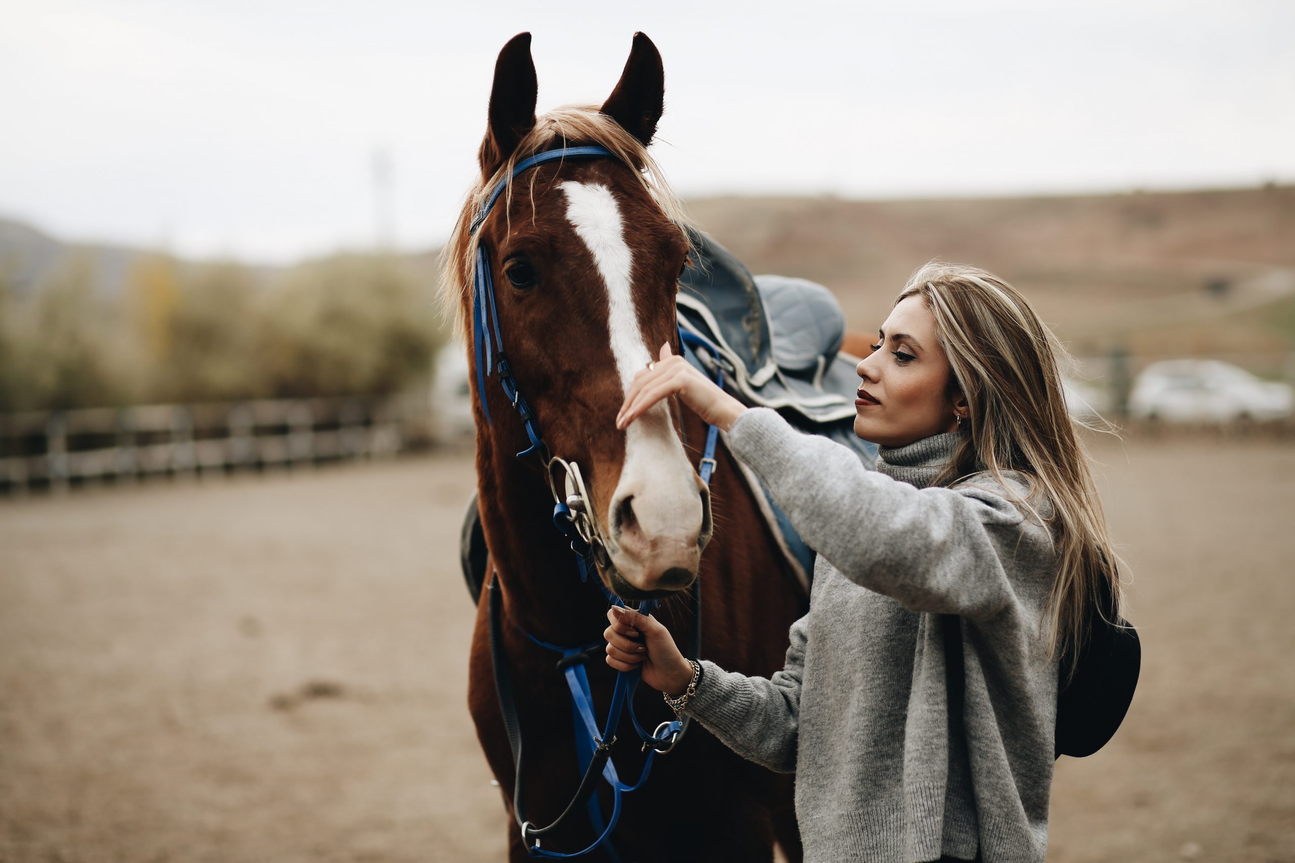 Tips To Help Calm A Nervous Horse